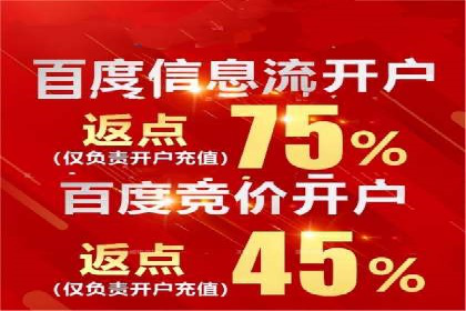 竞价广告在XX行业的成功应用案例