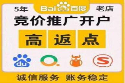 SEM广告投放的关键词选择与优化案例